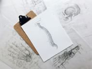 Better posture is achieved upon doing this exercise (Image by Joyce Hankins/Unsplash)